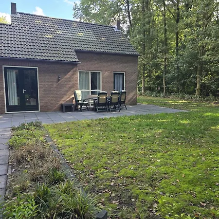 6 - Persoons Forest 117 Sauna Dom wakacyjny Ewijk