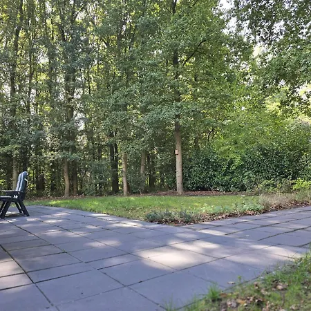 Dom wakacyjny 6 - Persoons Forest 117 Sauna