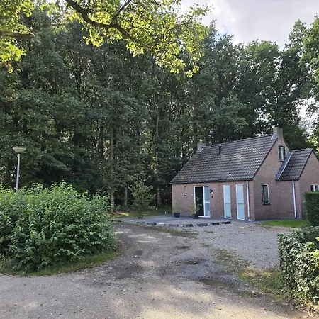 Dom wakacyjny 6 - Persoons Forest 117 Sauna Ewijk