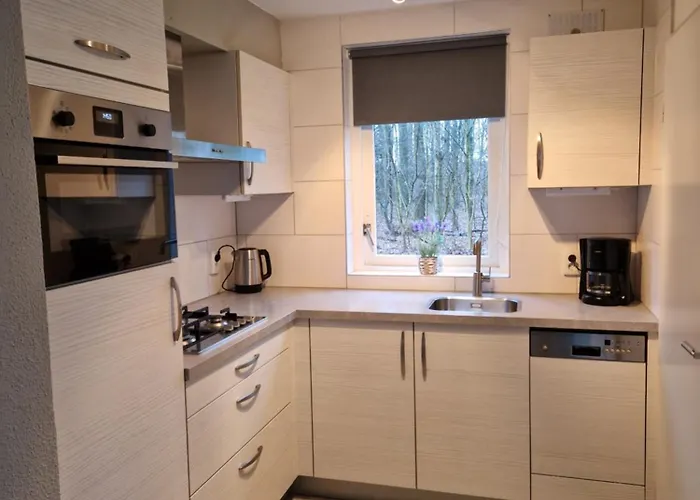 6 - Persoons Forest 117 Sauna Dom wakacyjny *