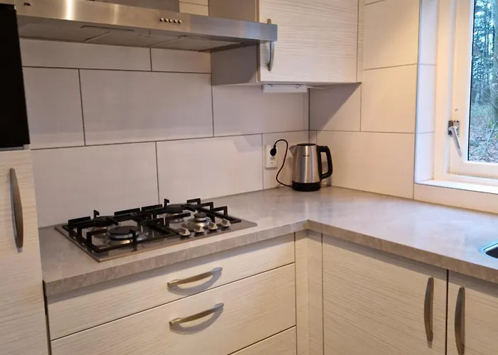 6 - Persoons Forest 117 Sauna * Ewijk