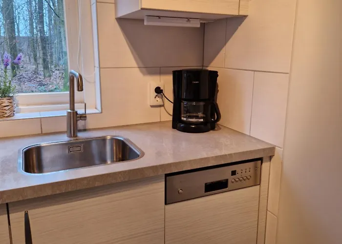 6 - Persoons Forest 117 Sauna Dom wakacyjny Ewijk