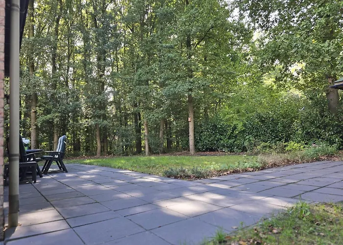 Dom wakacyjny 6 - Persoons Forest 117 Sauna